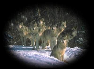 C'est autant par le r�ve .....